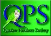 QPS new logo