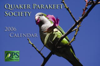 Calendar Cover, Jon-Mark Davey